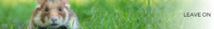 Banner da categoria LEAVE ON