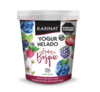Yogur Helado Frutos del Bosque 320 gr