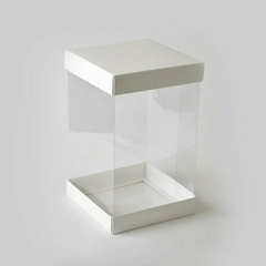 Box PVC 4 caras (8x8x15 cm) en internet