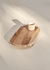 Tabla Ovalada