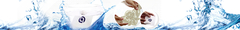 Banner da categoria Hidrossolúvel