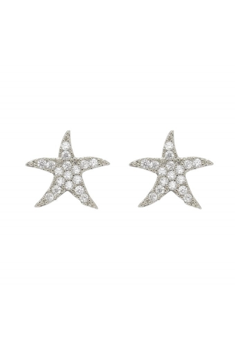 BRINCO DE ESTRELA CRAVEJADO NO RÓDIO