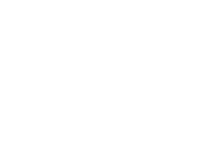 PALAVI