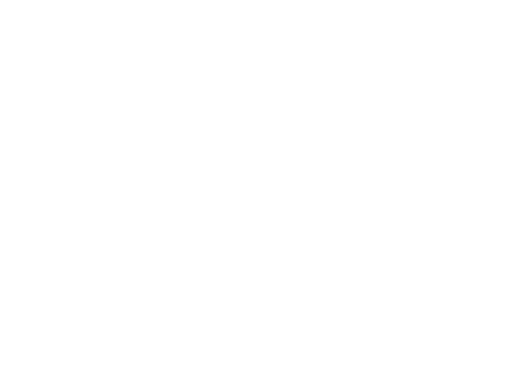 PALAVI