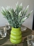 Vaso Garden
