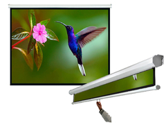Pantalla / Proyector Intelaid Sp100 - comprar online
