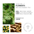 Kit Difusor + Home Spray Páscoa - LYROC HOME
