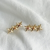 Ear Cuff Estrelas Semijoia