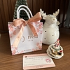 Mini Sacola de Presente