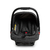 TS ROMANZO DUO INFANTI PRETO BRONZE CAX00900 - INFANTI - loja online