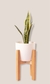 Set areca s - Magnolia deco plantas