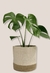 Cesto camelia - comprar online