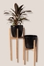 Set areca xxl