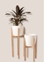 Combo set areca xxl