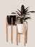 Combo set areca xxl en internet
