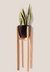 Set areca xl