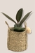Cesto lola - tienda online