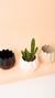 Maceta flora - comprar online