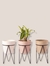 Set margarita - comprar online