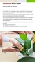 Brillo foliar mamboreta en internet