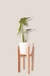 Set areca m - comprar online