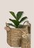 Cesto lola - comprar online