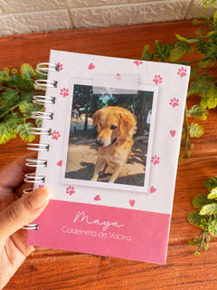 Caderneta de Vacina Pet - American Bully na internet