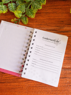 Imagem do Caderneta de Vacina Pet - American pit bull terrier cinza