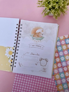 Imagem do Caderneta de Saúde - Astronauta