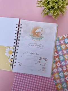 Imagem do Caderneta de Saúde - Girafinha Baloeira