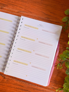 Caderno Devocional - Floral delicado na internet