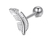 PIERCING DE FURO PENA