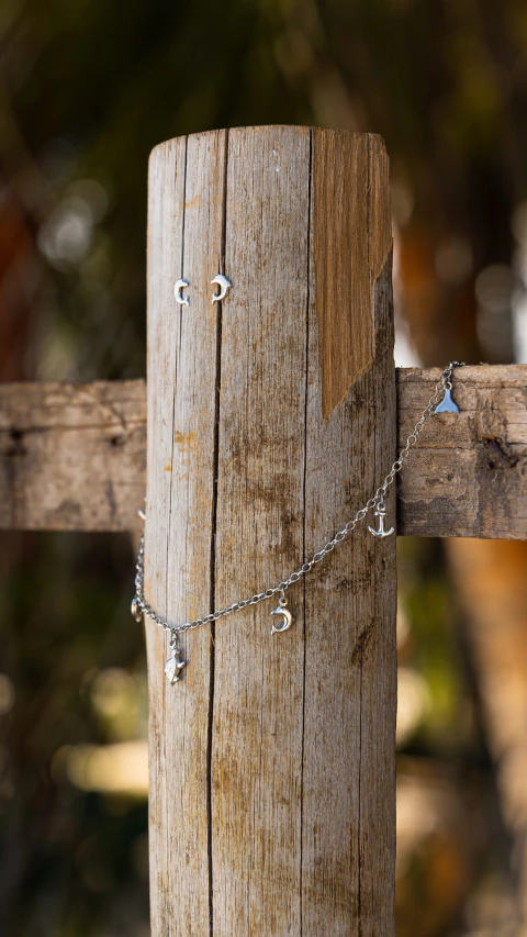 Carrusel Arteliê Acessórios Praianos