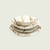 CAJA X6 PLATO SALPICRE PLAYO 26,5X2CM (TR0047) - comprar online