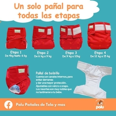 3 PACK LEONCITOS en internet