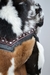 Conjunto .71/72 ($637.500 transf/ef) - tienda online