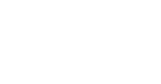 Celledig Store