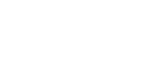 Celledig Store