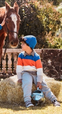 Blusa Teodoro Kids Mini Lord