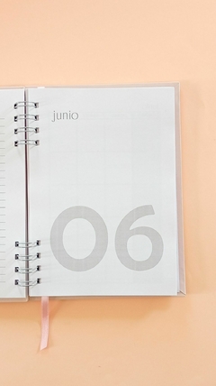 Imagen de AGENDA DIA X DIA