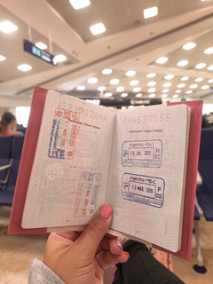 Porta pasaporte - Mapa (Pink) - comprar online