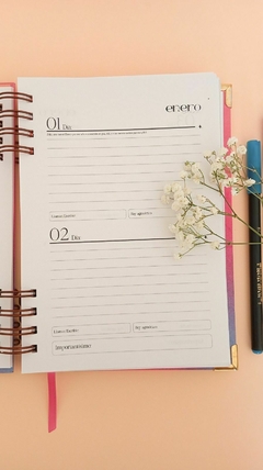 AGENDA PERPETUA ECOMONICA - comprar online