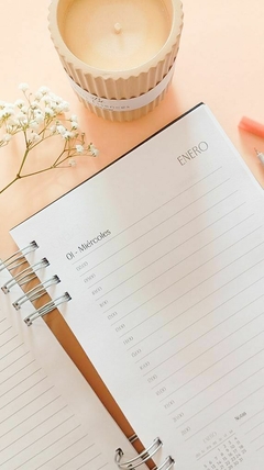 AGENDA DIA X DIA