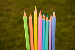 LAPICES PASTEL X8