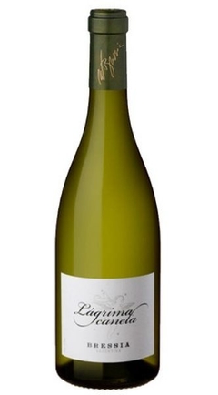 Lágrima Canela 2017
