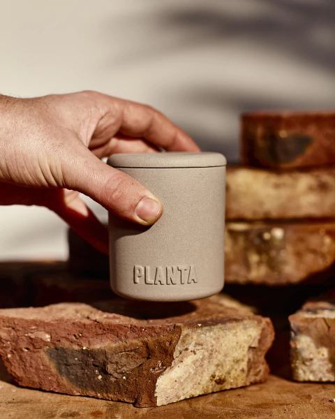 Imagen de Velas PLANTA