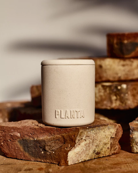 Velas PLANTA - comprar online