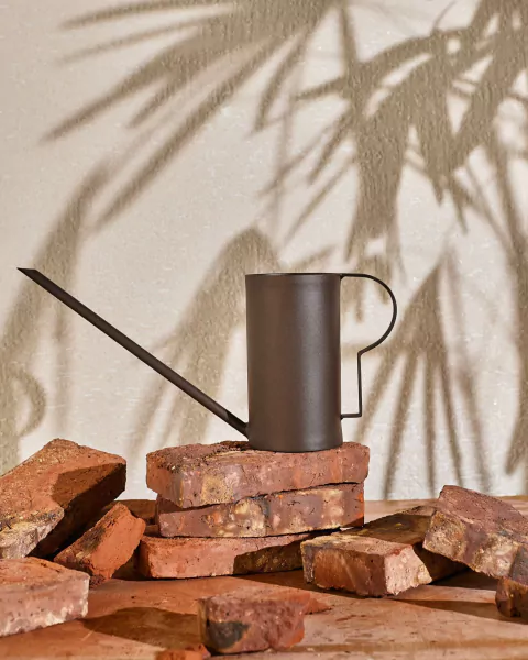Imagen de Regadera PLANTA 1,25 litros