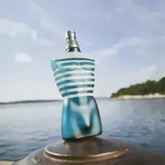 Jean Paul Gaultier Le Male Eau de Toilette na internet