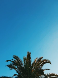 ST39